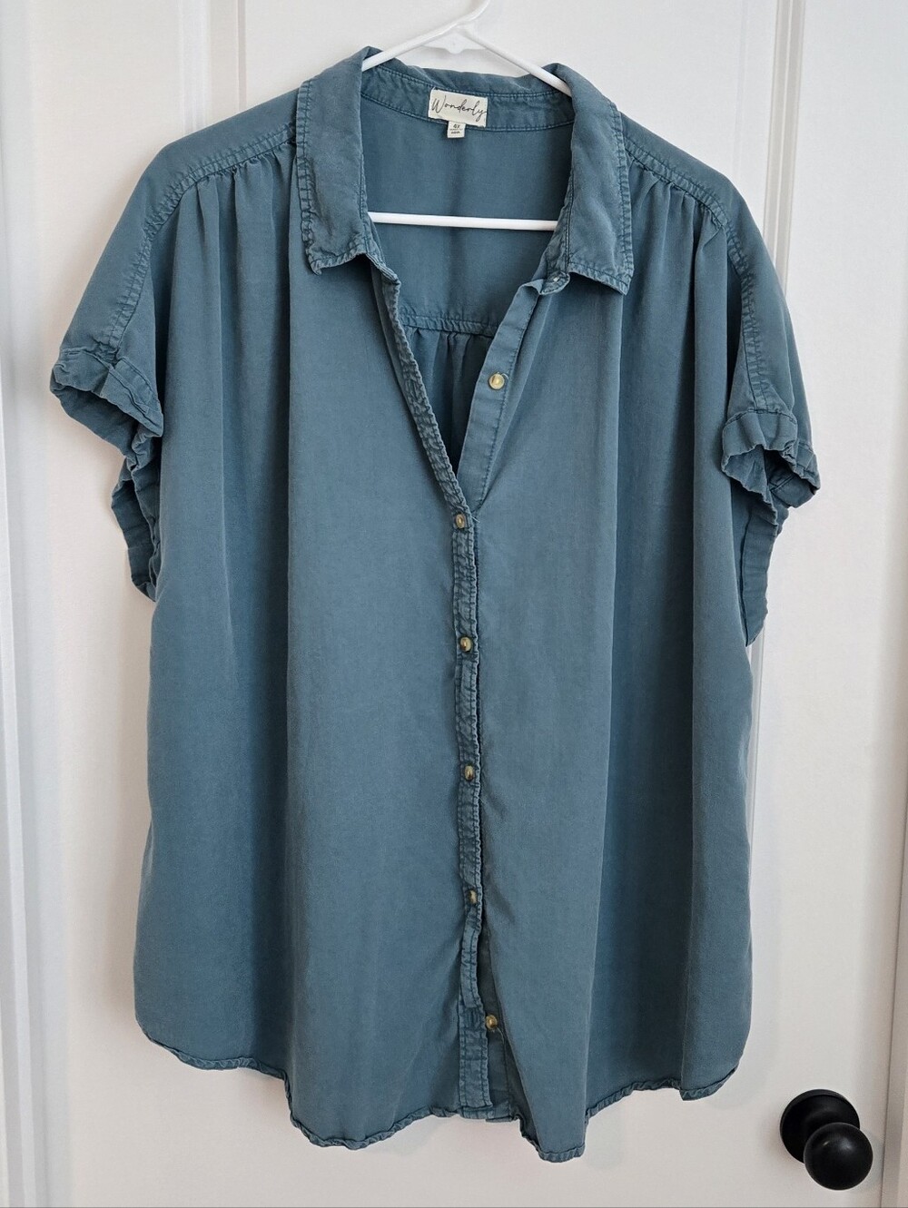 Wonderly Teal Button-Up Shirt